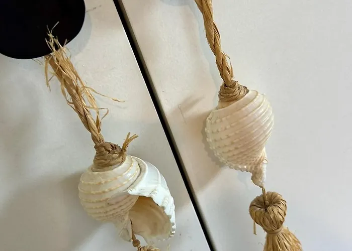 Chiberta 3 Etoiles Climatise Piscine & Golf Apartman *